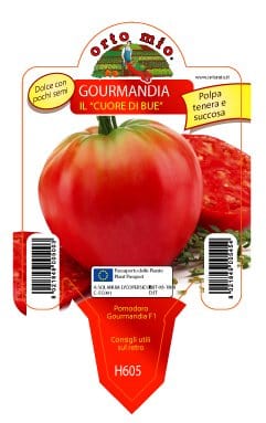 Pomodoro cuor di bue Gourmandia F1 - 1 pianta v.10 cm - Orto Mio Orto Mio (2497036)