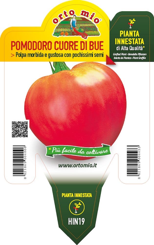Pomodoro Cuore di Bue Gourmandia F1 Innestato - 1 pianta vaso 14 cm - Orto Mio Orto Mio (2497039)