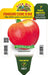 Pomodoro Cuore di Bue Gourmandia F1 Innestato - 1 pianta vaso 14 cm - Orto Mio Orto Mio