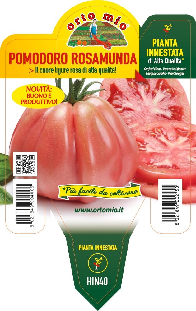 Pomodoro Cuore Rosa Rosamunda F1 Innestato - Vaso 14 - Orto Mio Orto Mio (2497042)