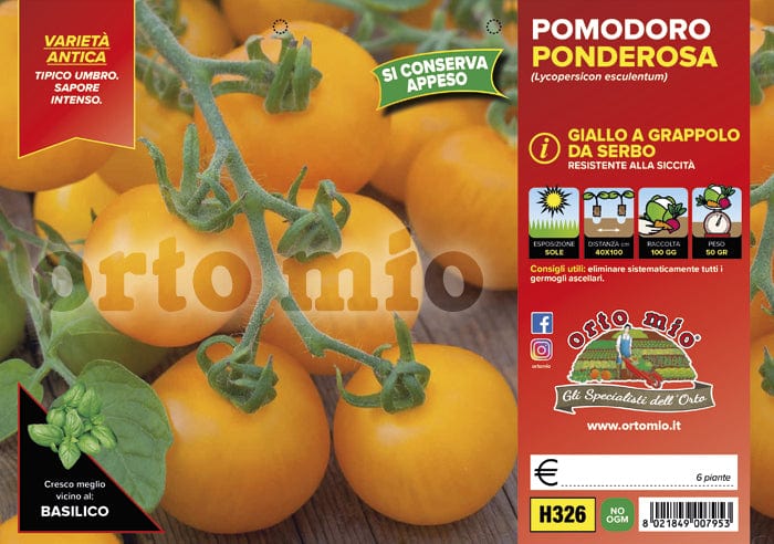 Pomodoro da appendere Ponderosa giallo - 6 piante - Orto Mio Orto Mio (2497044)