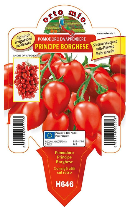 Pomodoro da appendere Principe borghese - 1 pianta v.10 cm - Orto Mio Orto Mio (2497045)