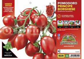 Pomodoro da appendere Principe borghese - 6 piante - Orto Mio Orto Mio (2497046)
