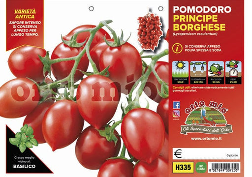 Pomodoro da appendere Principe borghese - 6 piante - Orto Mio Orto Mio (2497046)