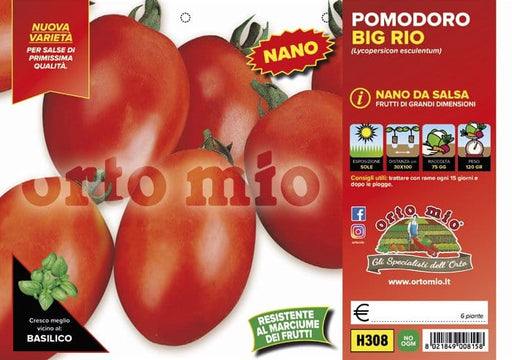 Pomodoro da salsa (nano) ovale Big Rio F1 - 6 piante - Orto Mio Orto Mio (2497047)