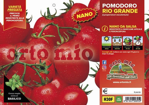 Pomodoro da salsa (nano) rio grande H 1281 F1 - 6 piante - Orto Mio Orto Mio (2497048)