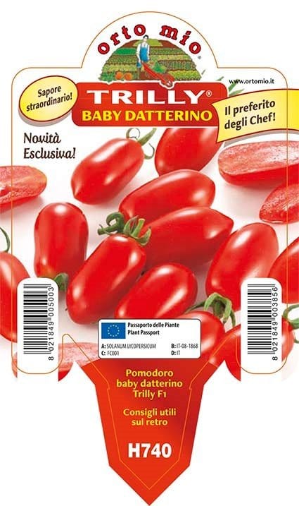 Pomodoro datterino Baby Trilly F1 - 1 pianta v.10 - Orto Mio Orto Mio (2497054)