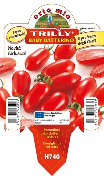 Pomodoro datterino Baby Trilly F1 - 1 pianta v.10 - Orto Mio Orto Mio (2497054)