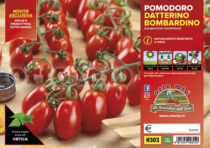 Pomodoro Datterino Bombardino F1 - 6 piantine - Orto Mio Orto Mio (2497056)