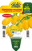 Pomodoro datterino giallo Maggino F1 - 1 pianta innestata v.14 cm - Orto Mio Orto Mio (2497058)