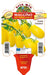 Pomodoro datterino giallo Maggino F1 - 1 pianta v.10 cm - Orto Mio Orto Mio (2497059)