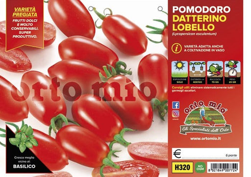 Pomodoro datterino Lobello F1 - 6 piante - Orto Mio Orto Mio (2497063)
