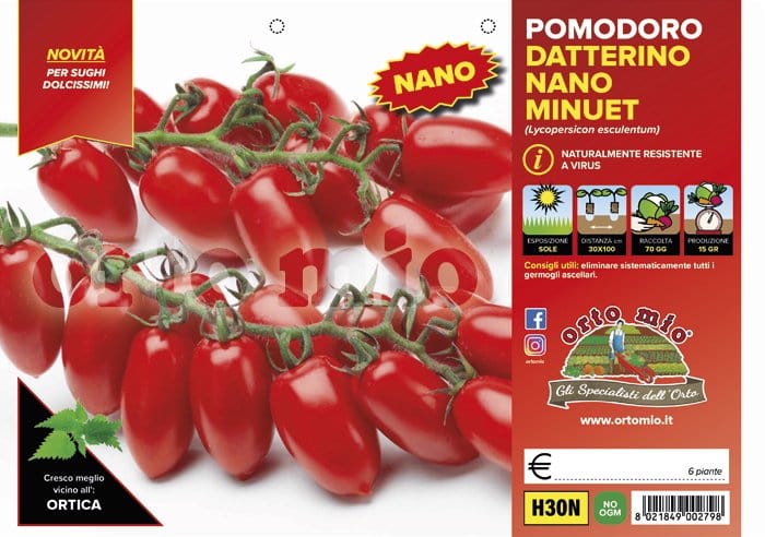 Pomodoro determinato (nano) datterino nano Minuet F1 - 6 piantine - Orto Mio Orto Mio (2497066)