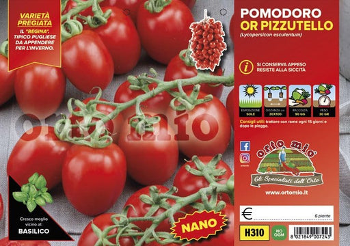 Pomodoro determinato (nano) regina OR Pizzutello - 6 piante - Orto Mio Orto Mio (2497067)