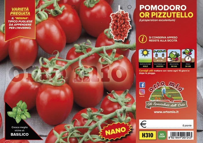 Pomodoro determinato (nano) regina OR Pizzutello - 6 piante - Orto Mio Orto Mio