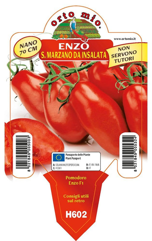 Pomodoro determinato (nano) San Marzano nano Enzo F1 - 1 pianta v.10 cm - Orto Mio Orto Mio (2497068)