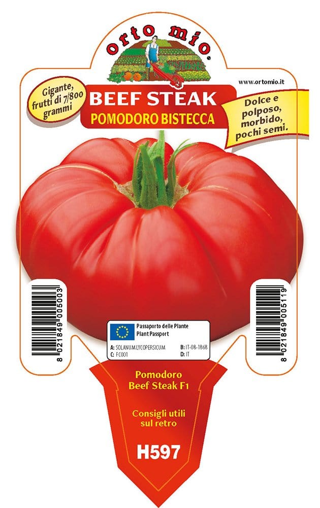 Pomodoro gigante Beefsteak F1 - 1 pianta v.10 cm - Orto Mio Orto Mio (2497073)