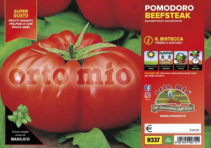 Pomodoro gigante Beefsteak F1 - 6 piante - Orto Mio Orto Mio (2497074)