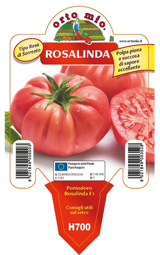Pomodoro gigante sorrentone Rosalinda F1 - 1 pianta v.10 cm - Orto Mio Orto Mio (2497080)
