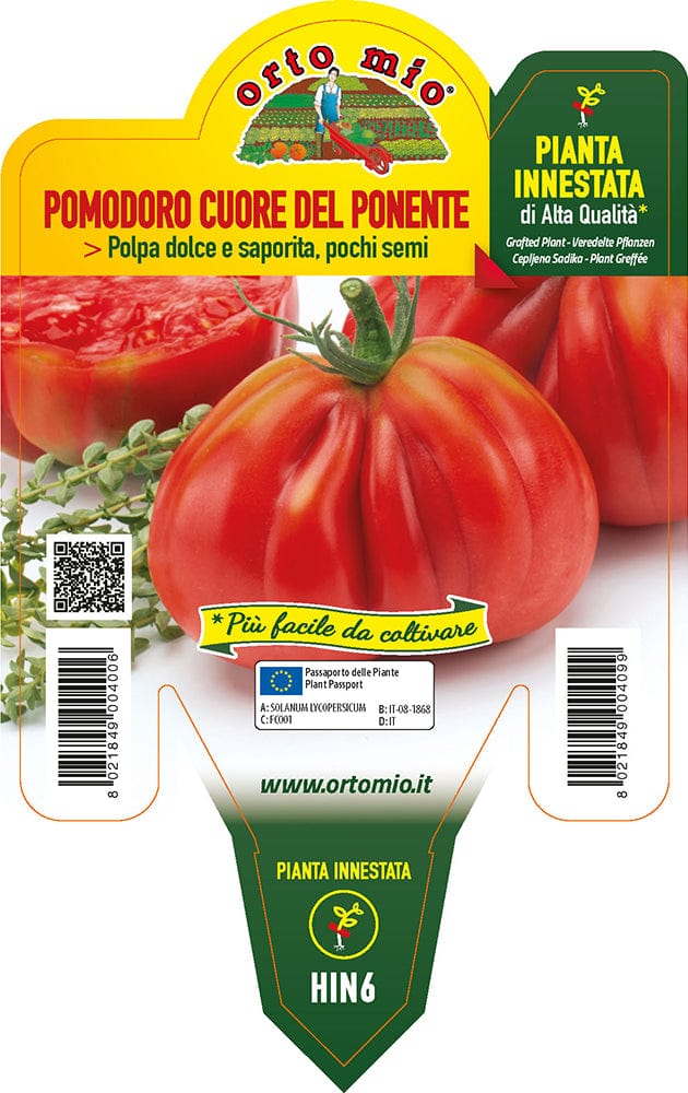 Pomodoro ligure cuore del Ponente BF 220 F1 - 1 pianta innestata v.14 cm - Orto Mio Orto Mio (2497085)