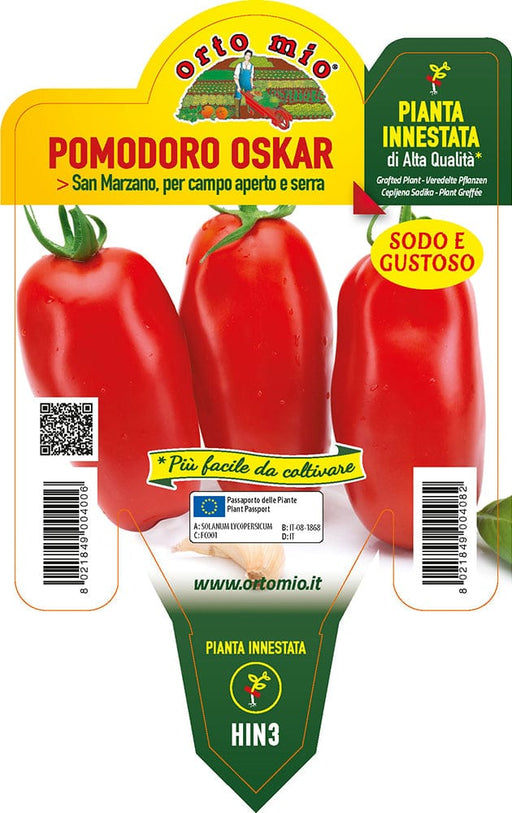 Pomodoro Lungo San Marzano Oskar F1 - 1 pianta innestata v.14 cm - Orto Mio Orto Mio (2497087)