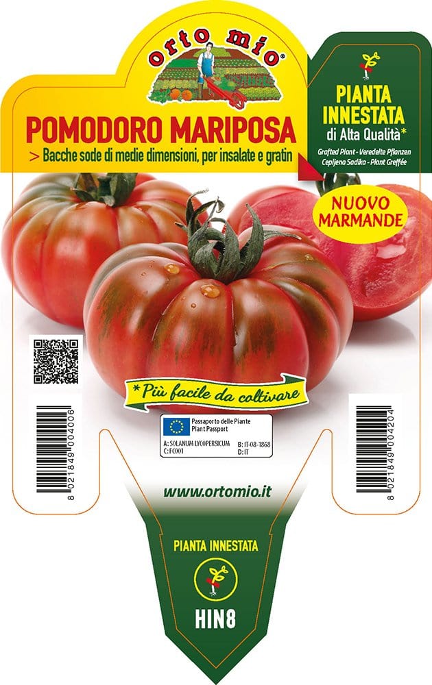 Pomodoro marmande Maryposa F1- 1 pianta v. 14 cm - Orto Mio Orto Mio (2497088)