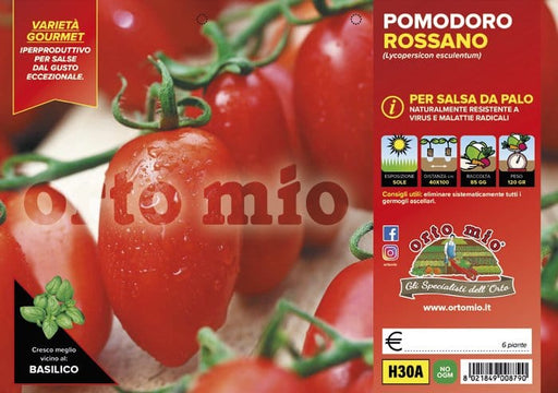 Pomodoro San Marzano e ovale da salsa da palo Rossano F1 - 6 piante - Orto Mio Orto Mio (2497101)