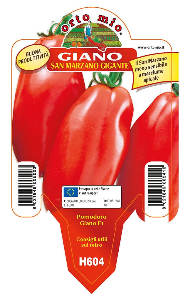 Pomodoro San Marzano e ovale gigante Giano F1 - 1 pianta v.10 cm - Orto Mio Orto Mio (2497103)