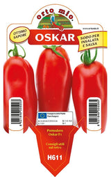 Pomodoro San Marzano e ovale Oskar F1 - 1 pianta v.10 cm - Orto Mio Orto Mio (2497105)