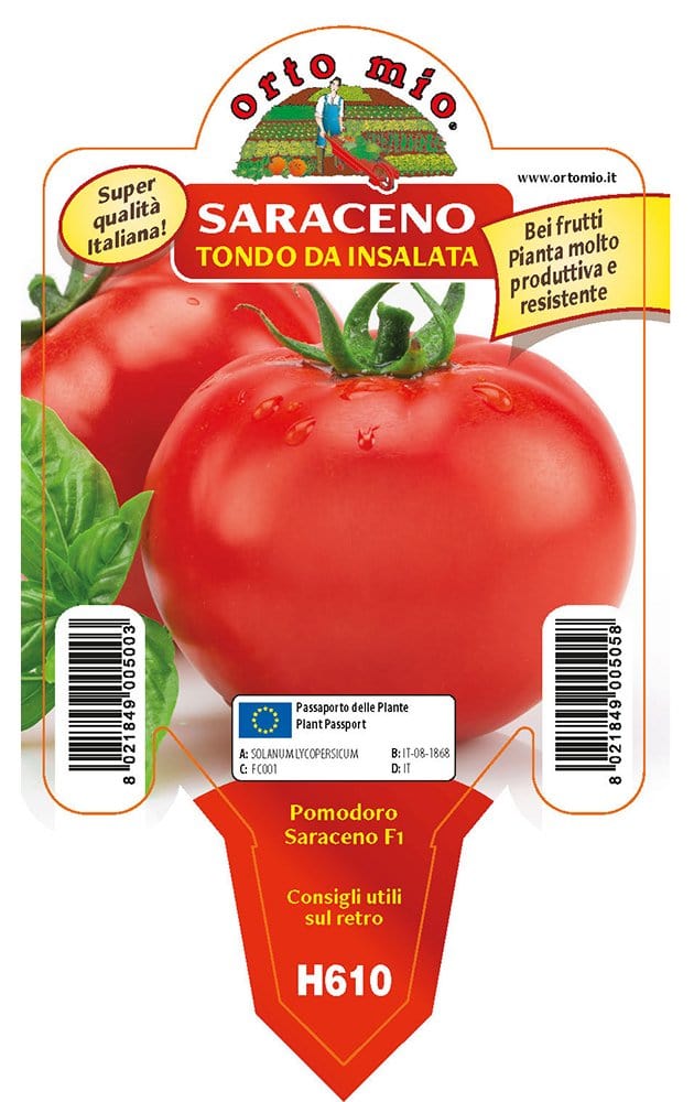Pomodoro Saraceno Tondo da Mensa - 1 pianta v.10 cm - Orto Mio Orto Mio (2497111)