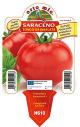 Pomodoro Saraceno Tondo da Mensa - 1 pianta v.10 cm - Orto Mio Orto Mio (2497111)