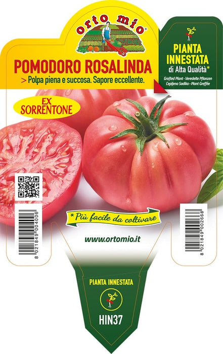 Pomodoro Sorrentone Rosalinda F1 - 1 pianta innestata v.14 cm - Orto Mio Orto Mio (2497114)