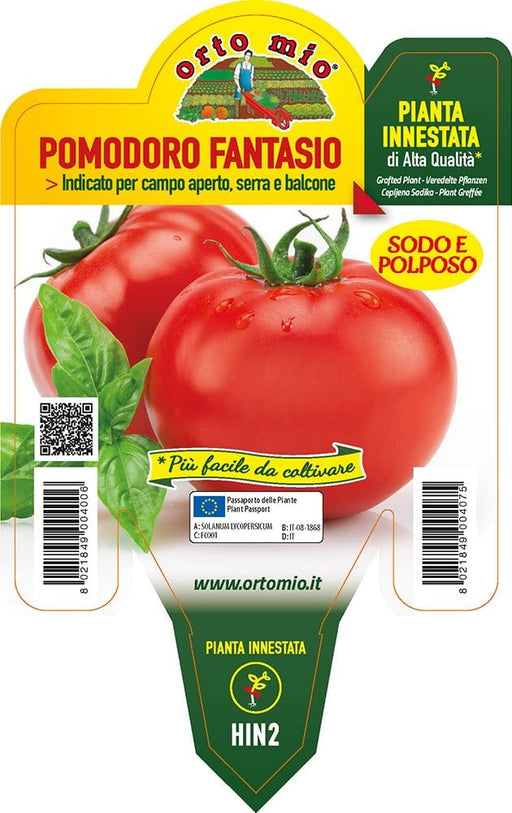 Pomodoro tondo da insalata Fantasio F1 - 1 pianta innestata v.14 cm - Orto Mio Orto Mio (2497123)