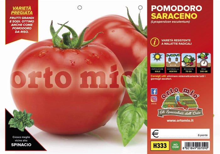 Pomodoro tondo da mensa Saraceno F1 - 6 piante - Orto Mio Orto Mio (2497130)