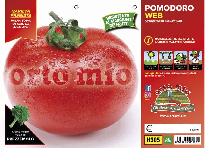 Pomodoro tondo da mensa Web F1 - 6 piante - Orto Mio Orto Mio (2497131)