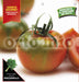 Pomodoro tondo sardo Reginella F1 - 1 pianta v.10 cm - Orto Mio Orto Mio (2497137)