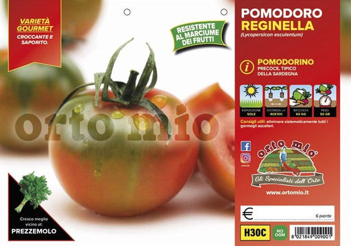 Pomodoro tondo sardo Reginella F1 - 6 piante - Orto Mio Orto Mio (2497138)