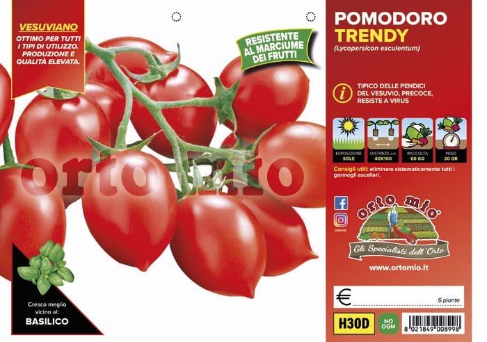Pomodoro vesuviano Trendy F1 - 6 piante - Orto Mio Orto Mio