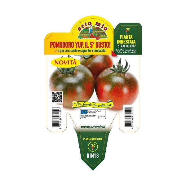 Pomodoro Yup il 5° Gusto - 1 pianta Innestata v. 14 cm - Orto Mio Orto Mio (2497142)