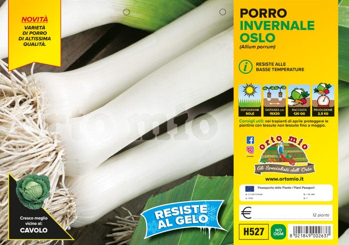 Porro invernale Oslo F1 - 12 piante - Orto Mio Orto Mio (2497171)