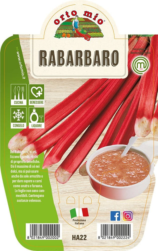 Rabarbaro - 1 pianta v.14 cm - Orto mio Orto Mio (2497643)