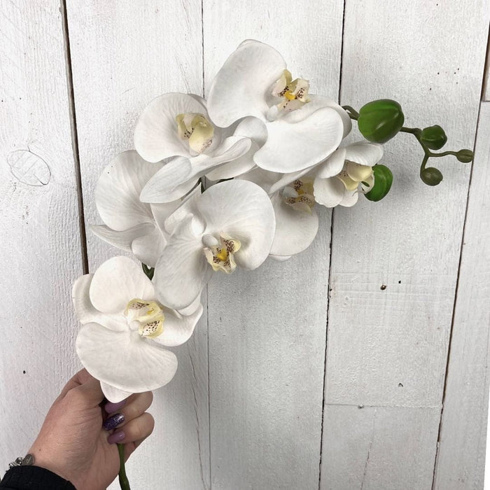 Ramo Decorativo Orchidea - 78 cm Bianco Blumissima (2497696)