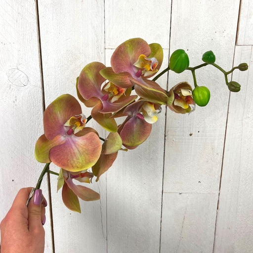 Ramo Decorativo Orchidea - 78 cm Rosa Blumissima