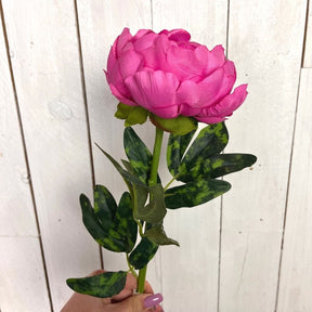 Ramo Decorativo Peonia - 65 cm Fuchsia Blumissima (2497700)