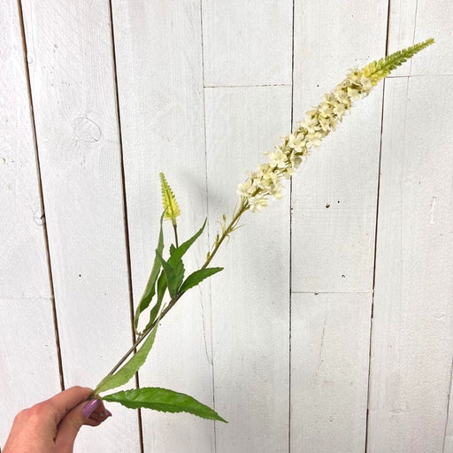 Ramo di Veronica h 75 cm - Bianco Blumissima