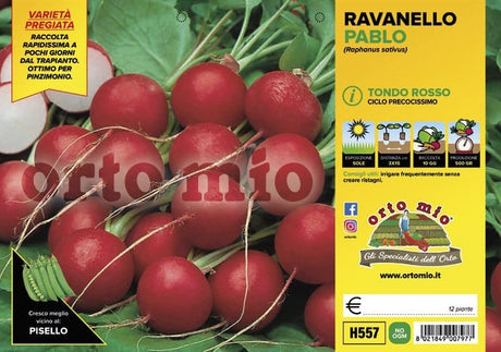 Ravanello tondo rosso Pablo - 12 piante - Orto Mio Orto Mio (2497738)