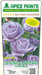 Rosa cespuglio Luna Blu - Viola Chiaro - v.15 x 15 cm Apice piante (2497857)