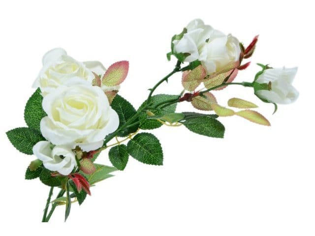 Rose con gambo - 70 cm Bianco Blumissima