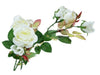 Rose con gambo - 70 cm Blumissima