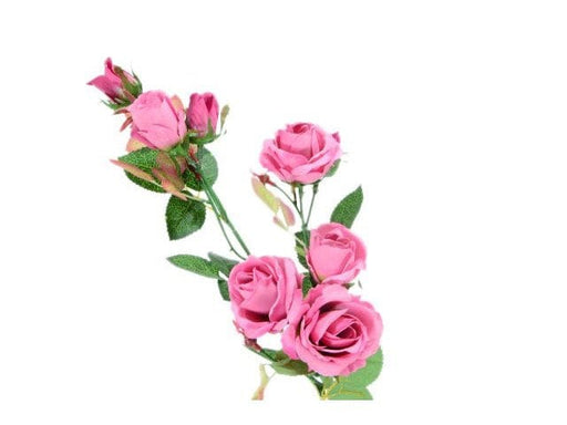 Rose con gambo - 70 cm Rosa Blumissima (2497877)